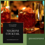 Negroni Cocktail