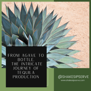 From Agave To Bottle. The Intricate Journey Of Tequila Production