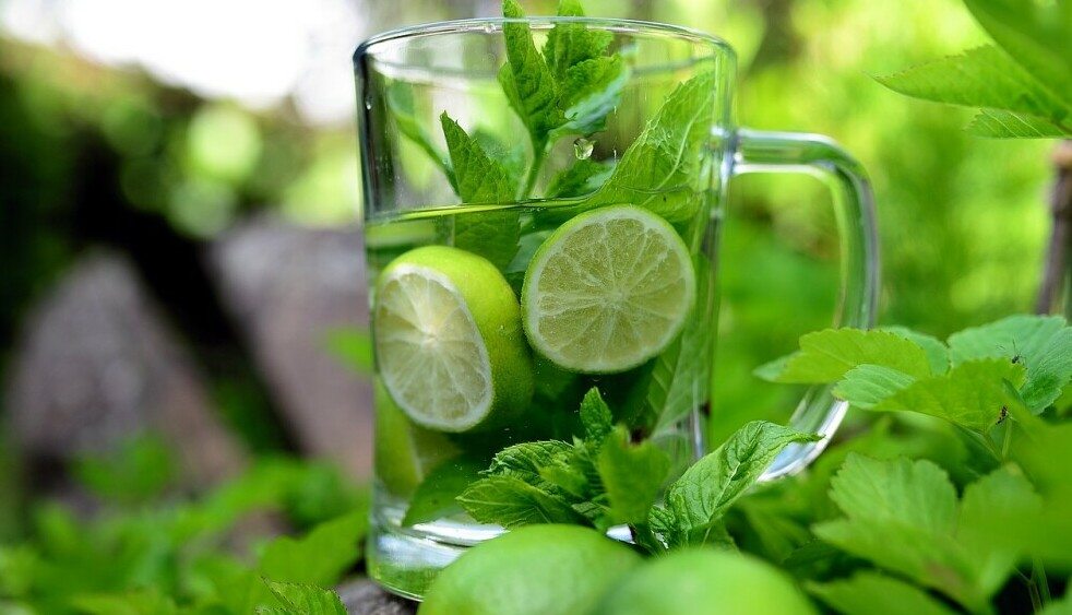  Coconut Cucumber Lime And Mint Cooler