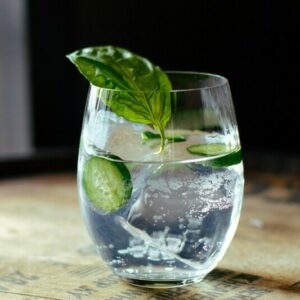 How To Make A Gin And Tonic Cocktail